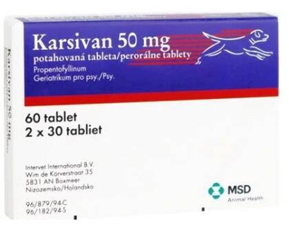 Karsivan