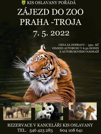 Zájezd do ZOO Praha – Troja