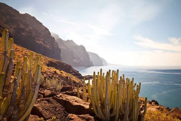 punta de teno, tenerife, španělsko - tenerife - stock snímky, obrázky a fotky