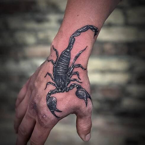 Black and white scorpion on the hnad
