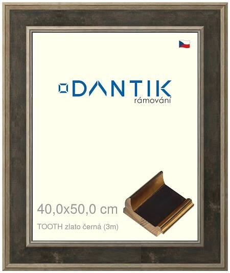DANTIK rámeček na obraz 40x50 | TOOTH zlato černá (Plexi Čiré)