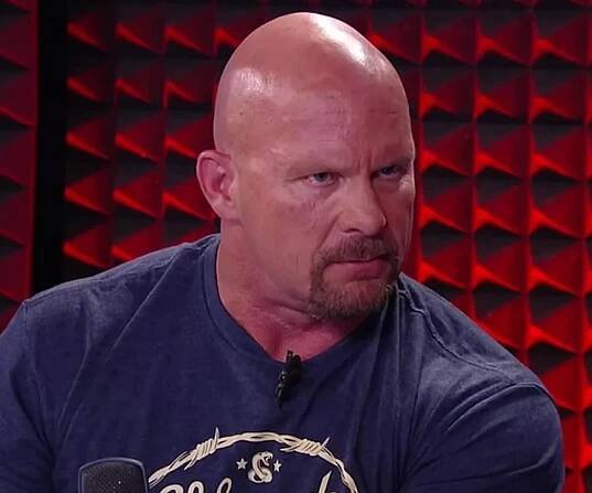 Steve Austin Biography - Facts, Childhood, Family Life & Achievements