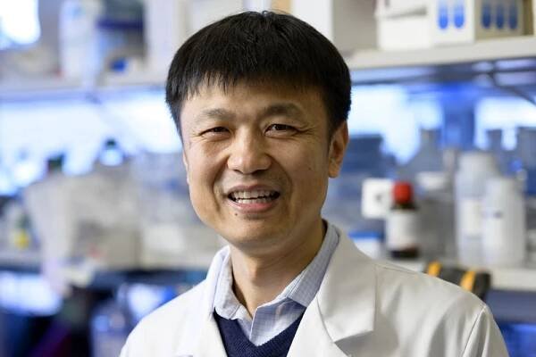 SKI Scientists Identify Potential New ‘Soldier’ for Cancer Immunotherapy