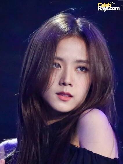 kim ji-soo career