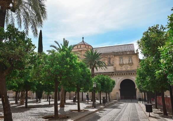 cordoba patio  de los naranjos