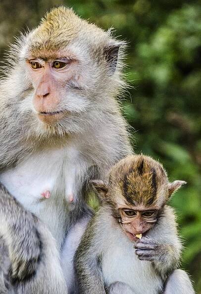 Beautiful Bali Small Group Tour | PhotoFly Travel Club
