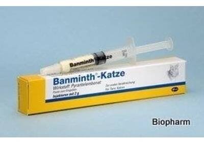 Banminth Katze pasta 115,3 mg / g 3 g