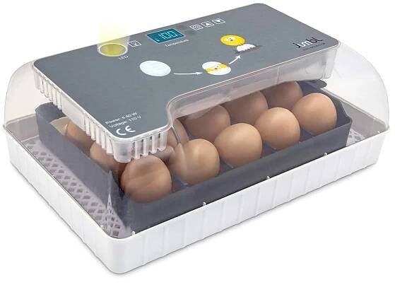 Jumbl Clear Fully Automatic Egg Incubator