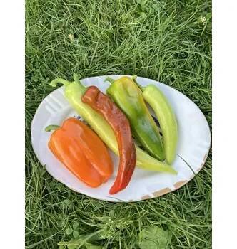 Paprika mix barev a druhů, min. 500 g