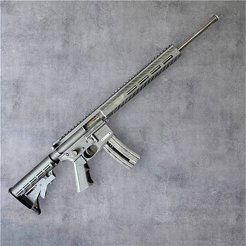 GOAT-15 .22LR AR15