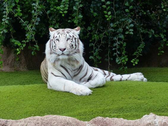 ZOO Liberec - iCesty.cz