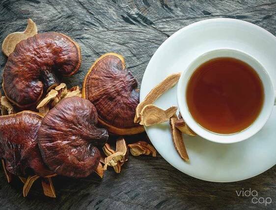 How to Make Reishi Mushroom Tea