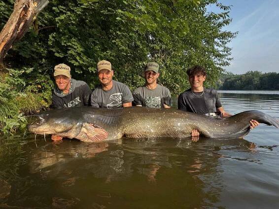Rekordní sumec měřil 272 centimetrů.