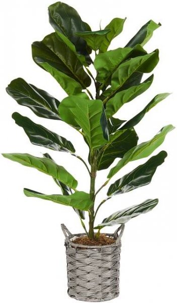 Umělá rostlina v květináči 72 cm FIDDLE LEAF TREE