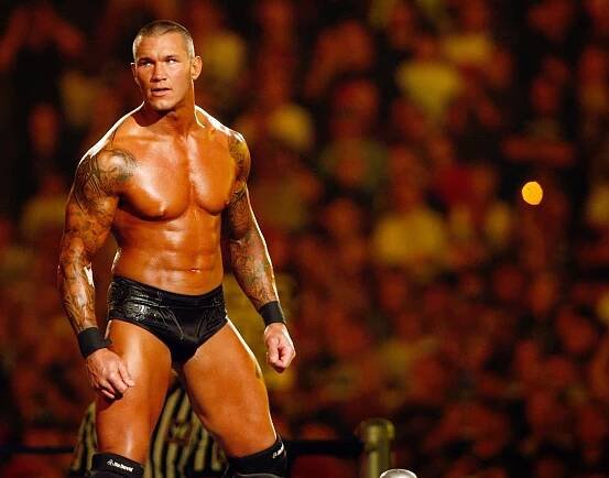A Wrestler Standing In Front Of A Crowd Wallpaper