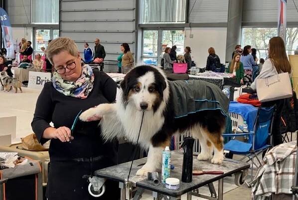 Fotoreportáž: Psí elita Evropy se sjíždí do Brna