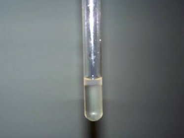 Soubor:Liquid Chloroform.jpg – Wikipedie
