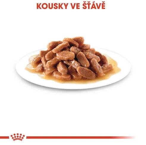 Royal Canin Pouch Kitten Instinctive Gravy - 85g