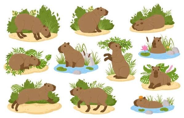 kapybara zvířata. kreslená semi-vodní divoká zvířata, roztomilí býložraví savci v přirozeném prostředí plochý vektor ilustrace set. fauna jižní ameriky - kapybara stock ilustrace