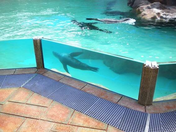 Soubor:Siam Park (36).jpg – Wikipedie