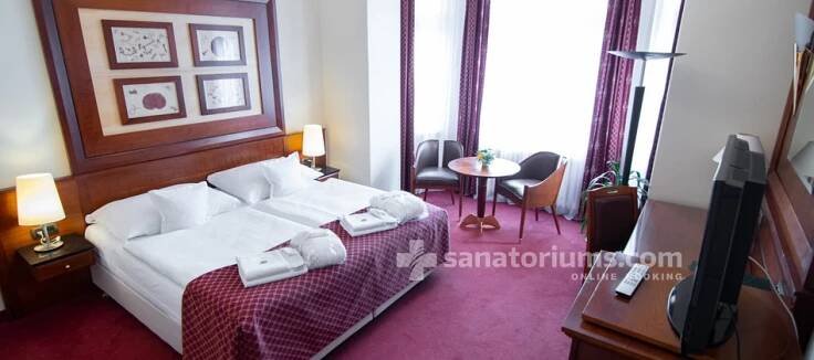 Spa Hotel Villa Smetana