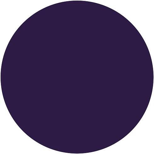 Indigo · #2E1B45 · Color Code · Values: HEX: #2E1B45 · RGB: 46, 27, 69 · HSL: 267°, 44%, 19% · HSB (HSV): 267°, 61%, 27% · CMYK: 33%, 61%, 0%, 73%