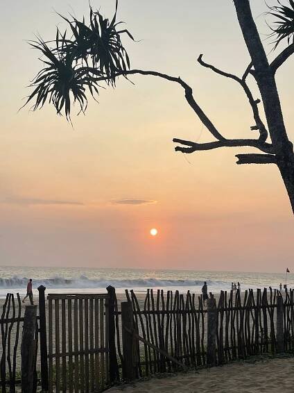 VILLA SAFFRON HIKKADUWA - Updated 2025 Prices & Resort Reviews (Sri Lanka)