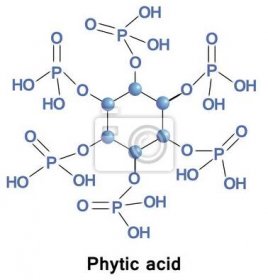 Kyselina fytová je nasycený cyklický kyselina, je hlavní zásobní formou fosforu v mnoha rostlinných tkáních, zejména otrub a semena. To lze nalézt u obilovin a zrna.