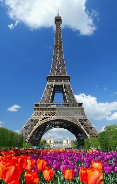 Excursions | Paris Impact