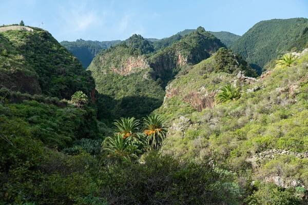 Zelená i voňavá La Palma