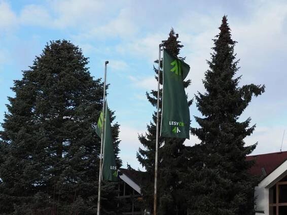 Lesy České republiky - Správa toků - oblast povodí Labe, Hradec Králové foto 2