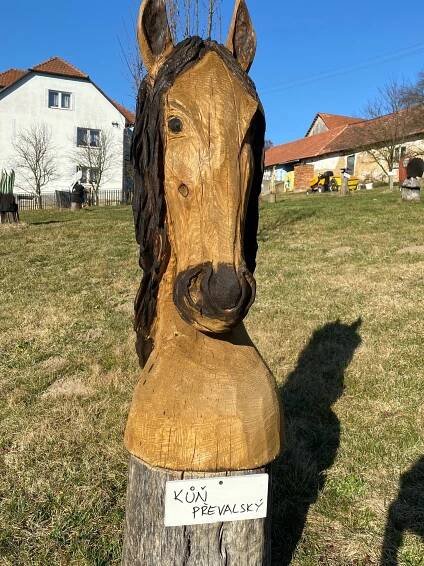 Dřevěná zoo v Ostratě • vychodni-morava.cz