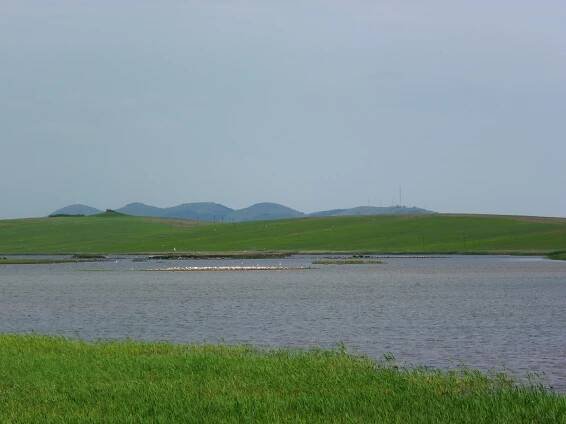 IMGP5684A