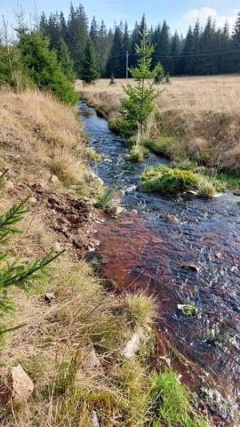 Přebuz (Rolava) – Chaloupky: Jsou cesty, které nezevšední – KLUB ČESKÝCH TURISTŮ