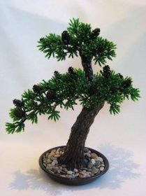 Korálkové bonsaje: mistrovská lekce výroby bonsají krok za krokem pro začátečníky (87 fotografií)