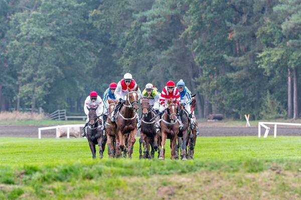 Dostihové závodiště Pardubice - sportovní zařízení - Východní-Čechy.info - oficiální turistický portál Pardubického kraje