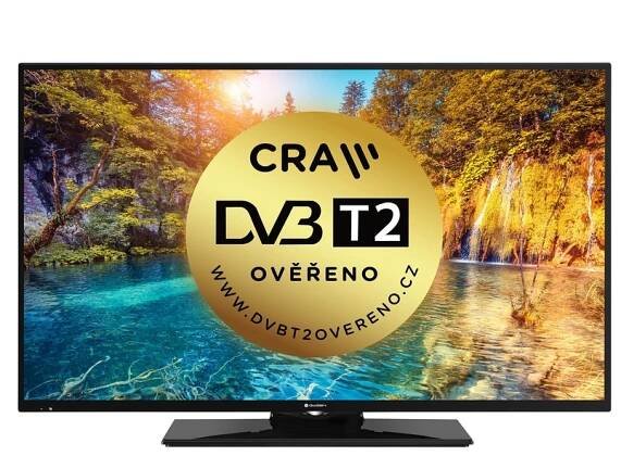 Televize GoGEN TVF 55N269T černá | DATART