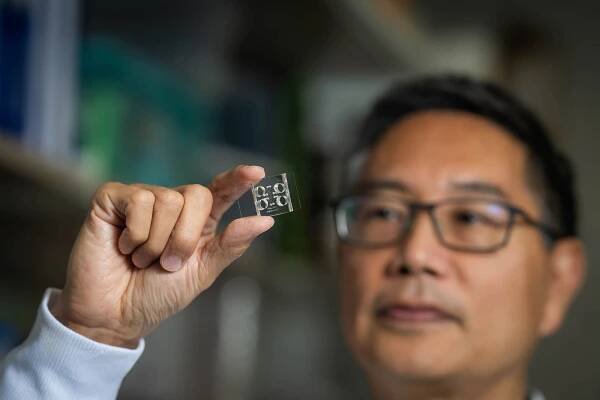 Curing Heart Attacks, Replacing Diseased Organs—Christopher Chen Is Engineering a Healthier Future | The Brink | Boston