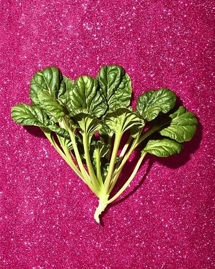 Creative fruit and vegetable photography – pak choy on pink glitter background still life