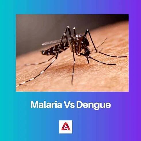 Malárie versus horečka dengue