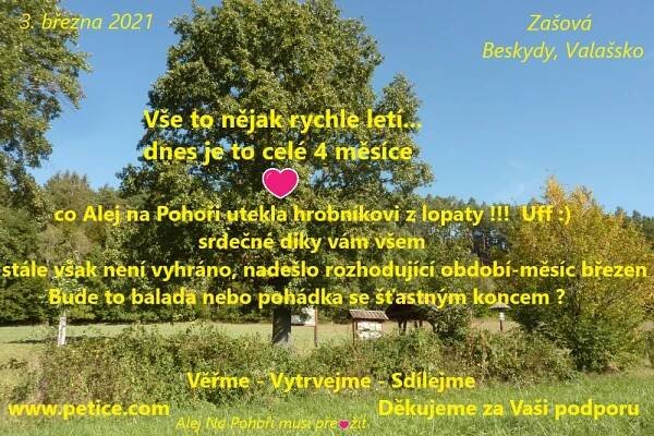 Alej_Na_Pohoři_-_Zašová,_Beskydy,_Vakašsko,_březen_2021_-_finále_-_Alej_musí_přežít.jpg