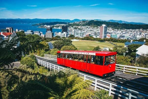 Wellington, New Zealand: All You Must Know Before You Go (2025) - Tripadvisor