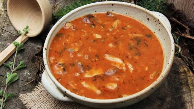 "Dršťková" polévka z růžovek - houbypotocky.cz