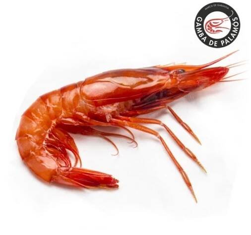 La Gamba de Palamós