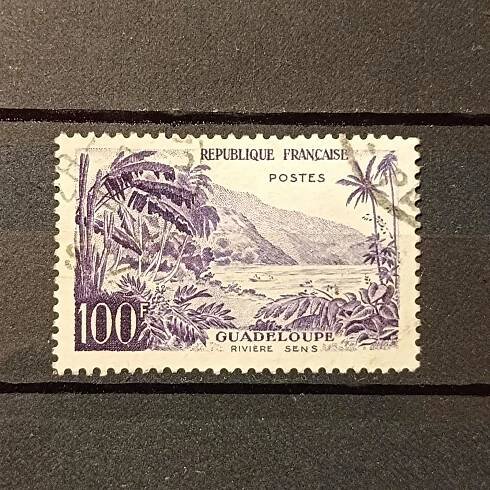 Francie