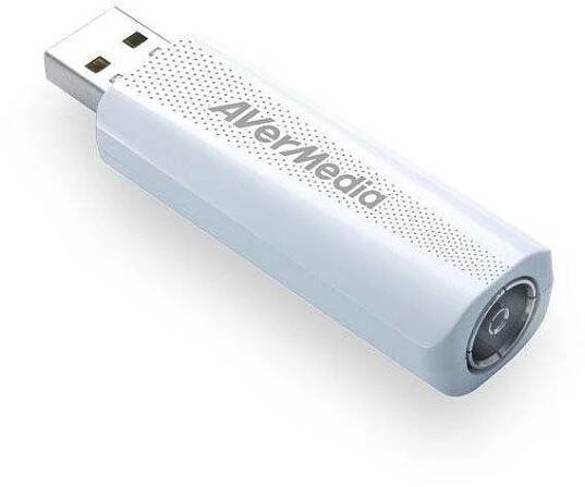 AVerMedia TV TD310
