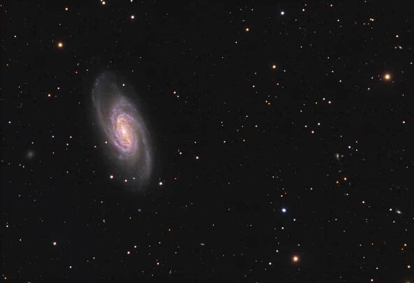 ngc2903
