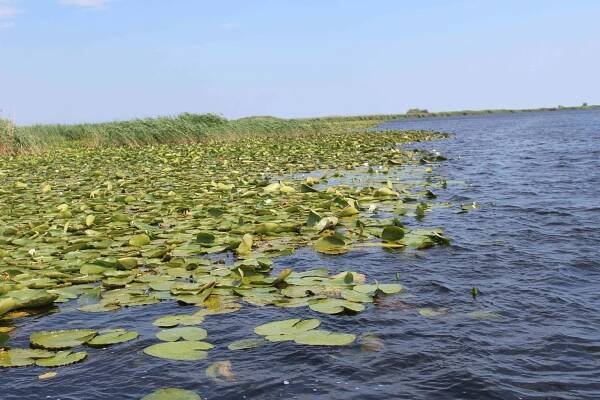 Fotogalerie Delta Dunaje – Dovolená v Rumunsku s CK KM