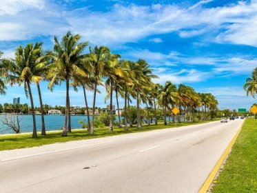 More people moved into Florida than any other state in 2021
