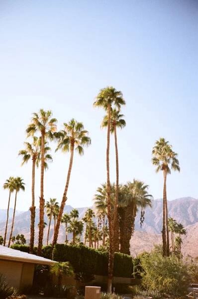 POSTCARDS FROM CALIFORNIA - Mediamarmalade